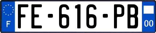 FE-616-PB