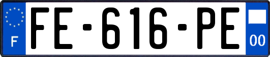 FE-616-PE