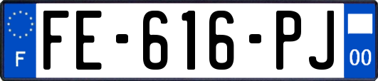 FE-616-PJ