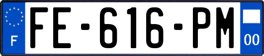 FE-616-PM