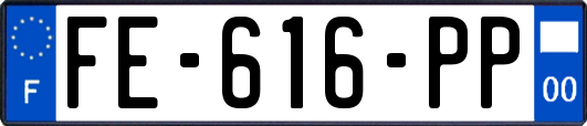 FE-616-PP
