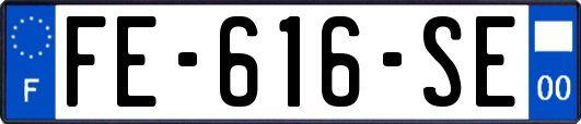 FE-616-SE