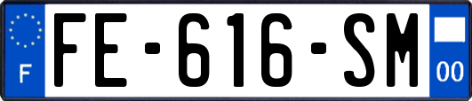 FE-616-SM