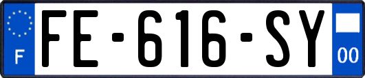 FE-616-SY
