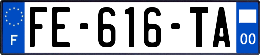 FE-616-TA
