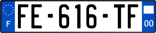 FE-616-TF
