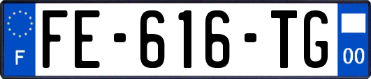 FE-616-TG