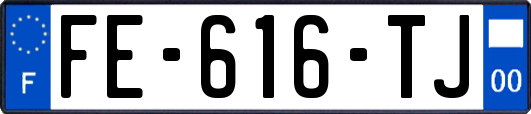 FE-616-TJ