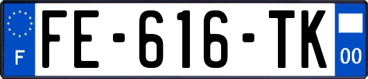 FE-616-TK