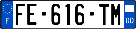 FE-616-TM