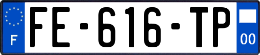 FE-616-TP