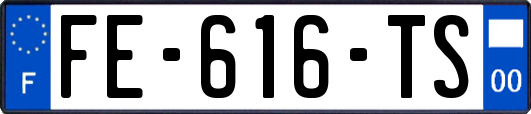 FE-616-TS