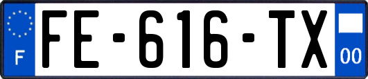 FE-616-TX