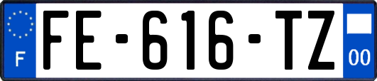 FE-616-TZ