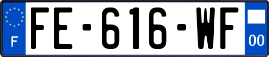 FE-616-WF
