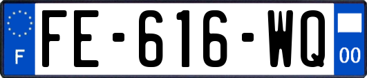 FE-616-WQ