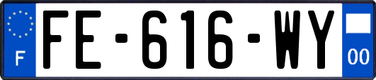 FE-616-WY