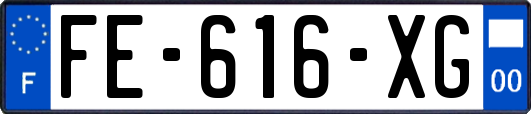 FE-616-XG