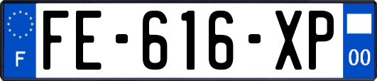 FE-616-XP