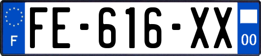 FE-616-XX
