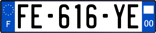 FE-616-YE