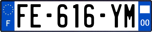 FE-616-YM