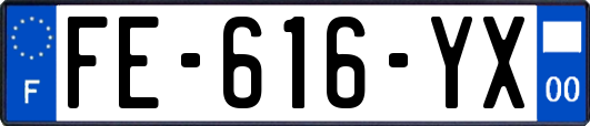FE-616-YX