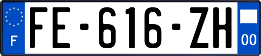 FE-616-ZH
