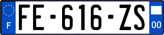 FE-616-ZS