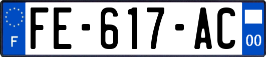 FE-617-AC