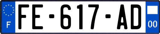 FE-617-AD