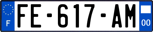 FE-617-AM