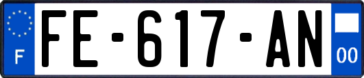 FE-617-AN