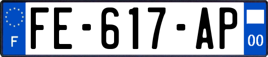 FE-617-AP