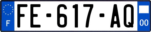 FE-617-AQ
