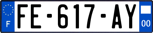 FE-617-AY