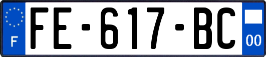FE-617-BC