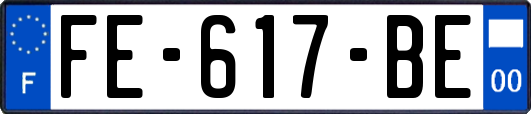 FE-617-BE