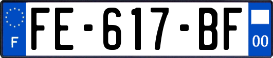 FE-617-BF