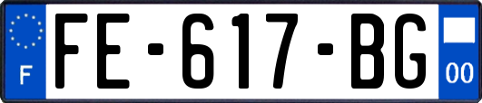 FE-617-BG