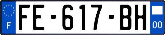 FE-617-BH