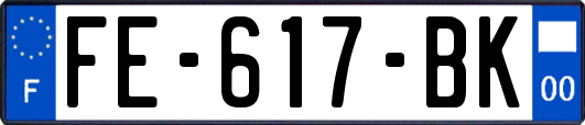FE-617-BK