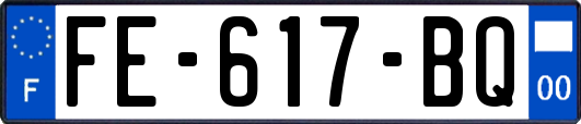 FE-617-BQ
