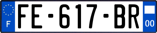 FE-617-BR