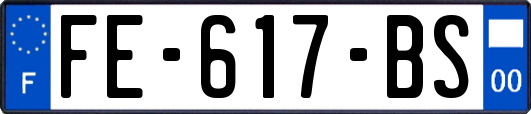FE-617-BS