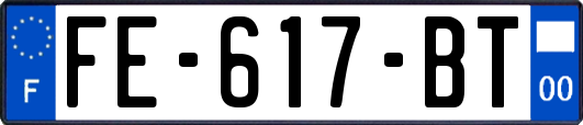 FE-617-BT