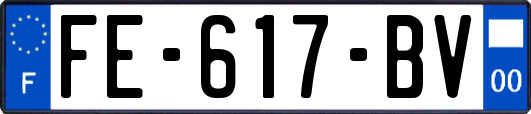 FE-617-BV