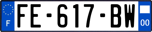 FE-617-BW