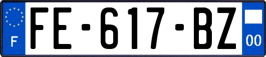 FE-617-BZ