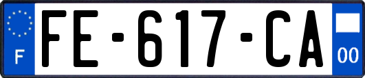 FE-617-CA